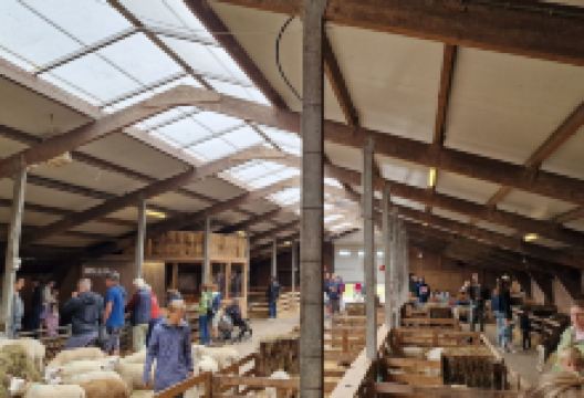 Schapenboerderij Texel景点图片