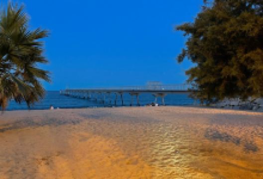 Playa de la Estacion景点图片