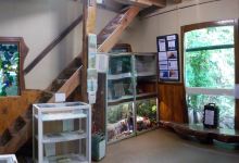 Daintree Conspiracy Museum景点图片