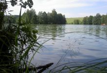 Leitgeringer See景点图片