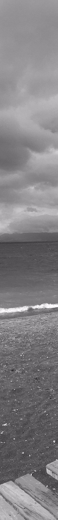 Playa Los Cisnes-兰奎休