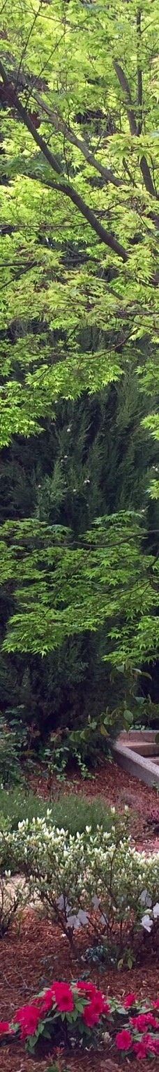 Lennox Gardens-亚拉伦拉