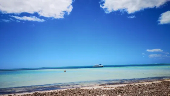 Fortune Beach