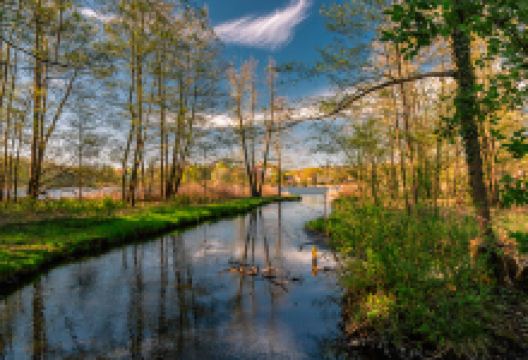 Aussichtspunkt Luna-Park am Buckowsee景点图片