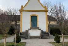 Blütenwanderweg景点图片