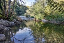 Camping Moulin Dollay景点图片