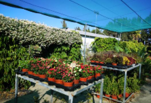 Floralink Garden Centre (Zygi)购物图片