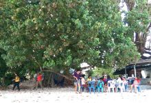 Sai Thong Beach景点图片