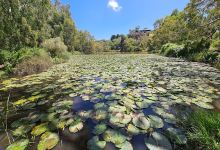 Barwon River景点图片