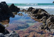 Whareakeake景点图片