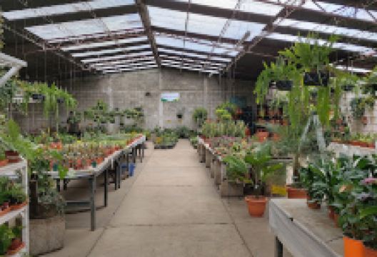 Vivero Botanik • Zona 17购物图片