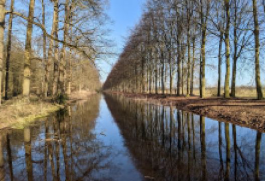 Oranjerie Landgoed Middachten景点图片