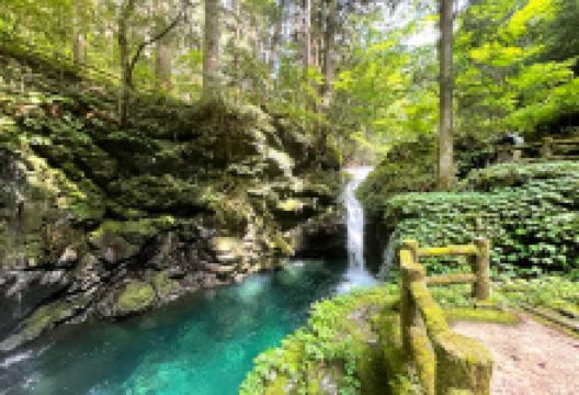 Hoshinomiya Shrine景点图片