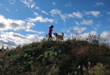 White Hill Park Trail景点图片