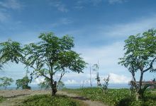 Batu Miana景点图片