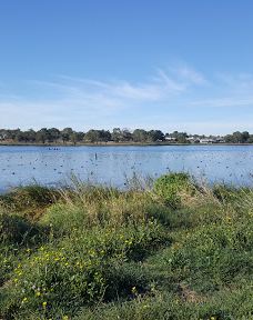 Lakes edge adventure playground-汉密尔顿