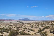 Cerro Morado - Parque Provincial Ischigualasto景点图片