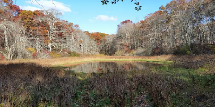 Dr. John Champlin Glacier Park