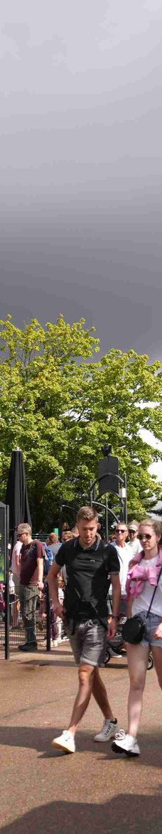 丹麦比隆乐高世界-比隆-石楠子