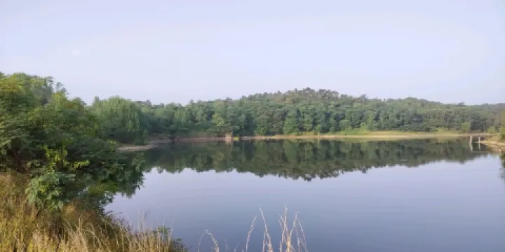 青松嶺森林公園-白鷺棲息地