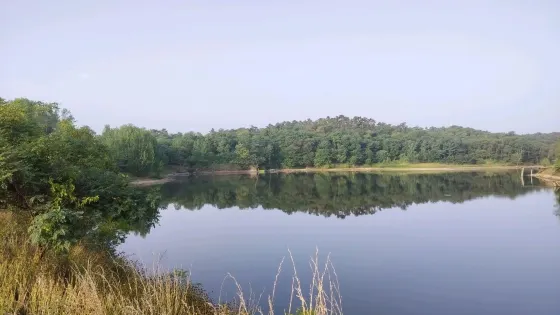 青松嶺森林公園-白鷺棲息地