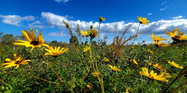 Halpata Tastanaki Preserve