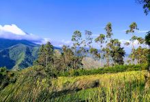 Green Hearts Refuge Nature Reserve景点图片