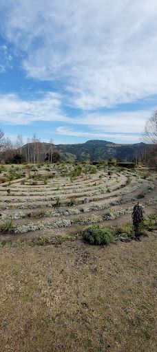 The Edge Labyrinth-阿玛索雷区自治市