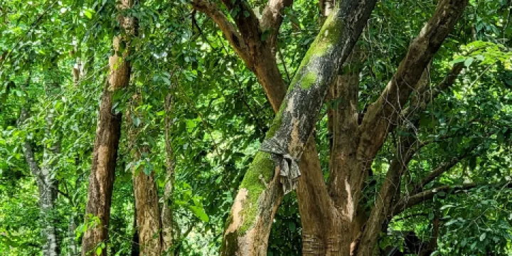 素貼山國家公園