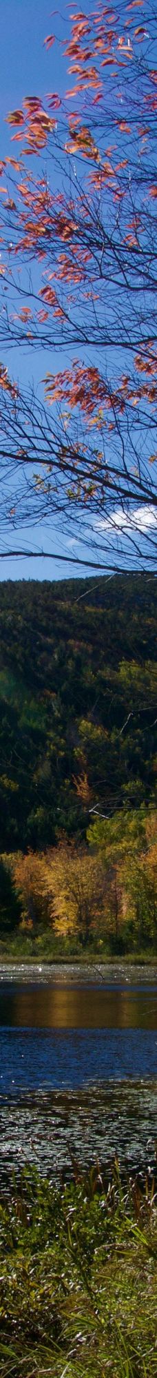 阿科底亚国家公园-沙山