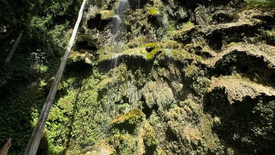 Tumalog 瀑布