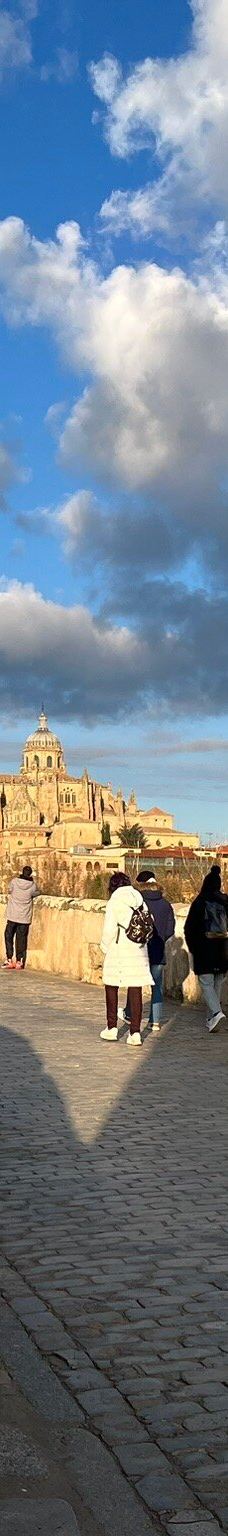 罗马古桥-萨拉曼卡