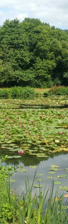 Parc des Gayeulles-雷恩