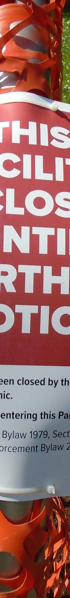 中央公园-本那比