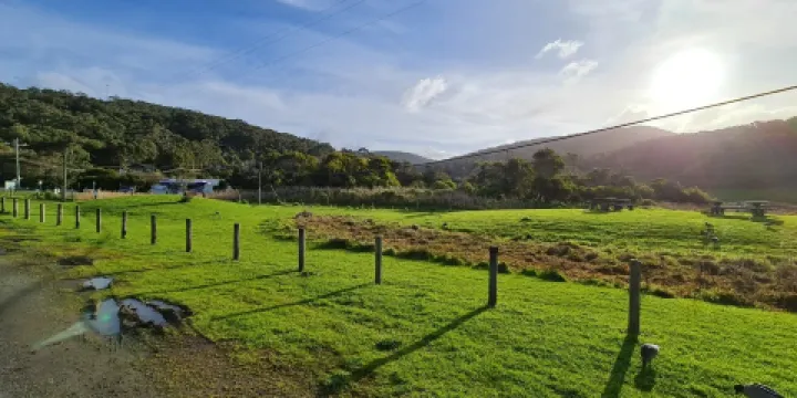 坎尼特河沿岸考拉步行道