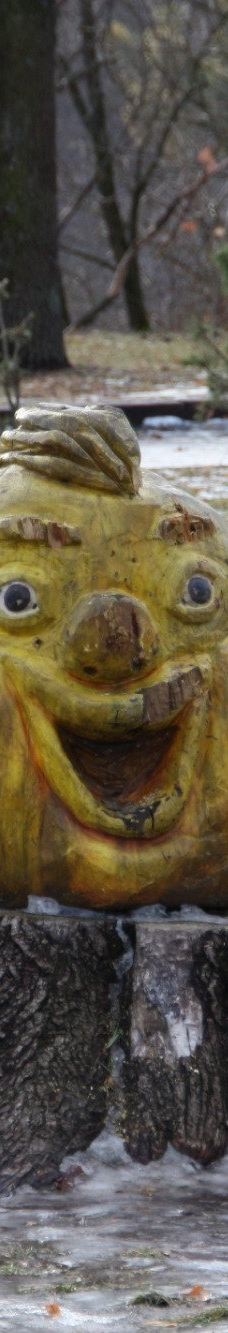 Park named Y. Gagarina-日托米尔