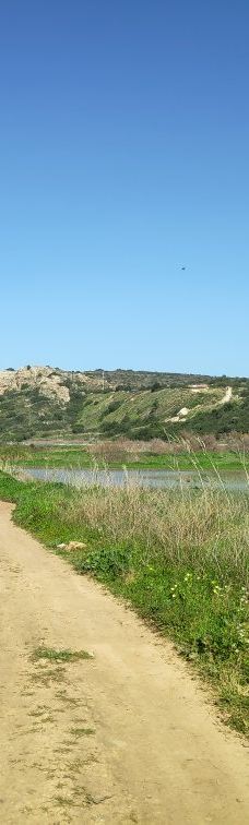 Zappa Amphi Shuni-Binyamina-Giv'at Ada