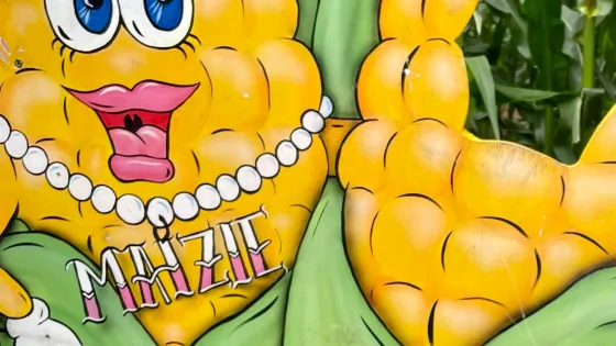 Boston Park Farm Maize Maze