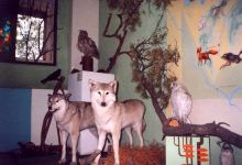 Museum of Local Lore景点图片