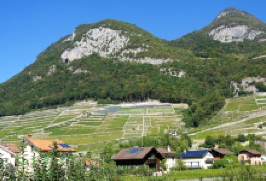 Aigle Castle景点图片