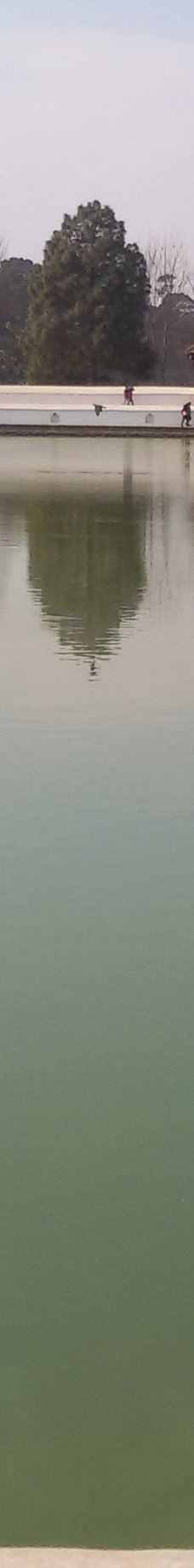 Siddha Pokhari-巴克塔普尔