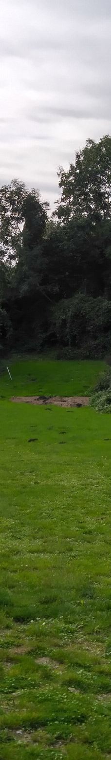 Gallery Galschioet-Odense N