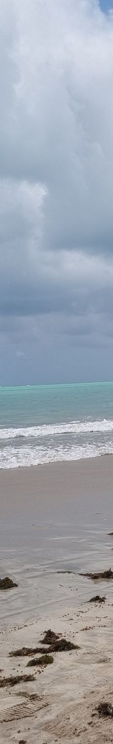 Piscinas Naturais de Pajucara-马塞约