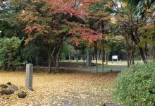 弥勒寺官衙遗迹群景点图片