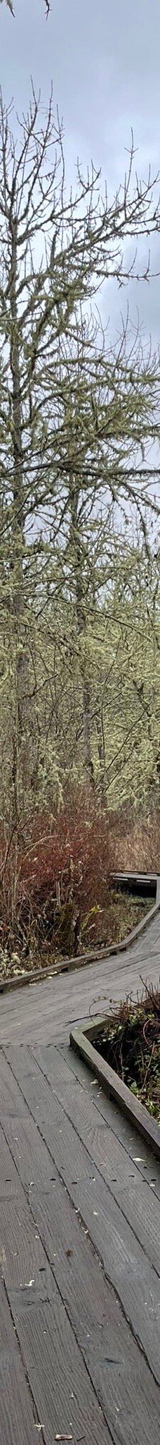 Jackson-Frazier Wetlands-本顿县