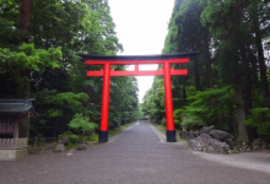 雾岛神社景点图片