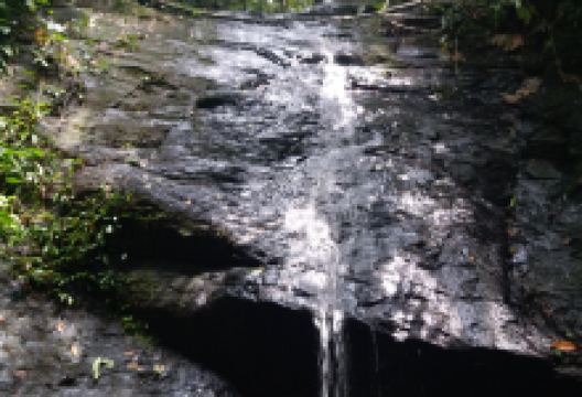 Bukit Patoi Forest Recreation Park景点图片