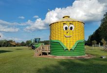 The Farmer's Barn Corn Maze, Family Fun and Farm Fresh Produce景点图片