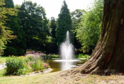 Tring Memorial Garden景点图片