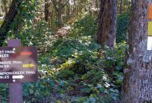 Burnt Mountain Preserve Trail景点图片